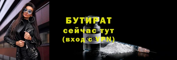 гидра Рославль