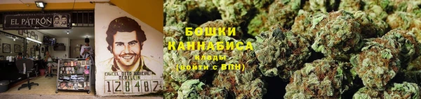гидра Рославль