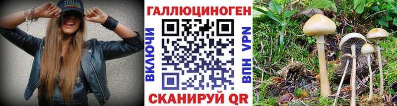 Псилоцибиновые грибы MAGIC MUSHROOMS  что такое наркотик  Углич 